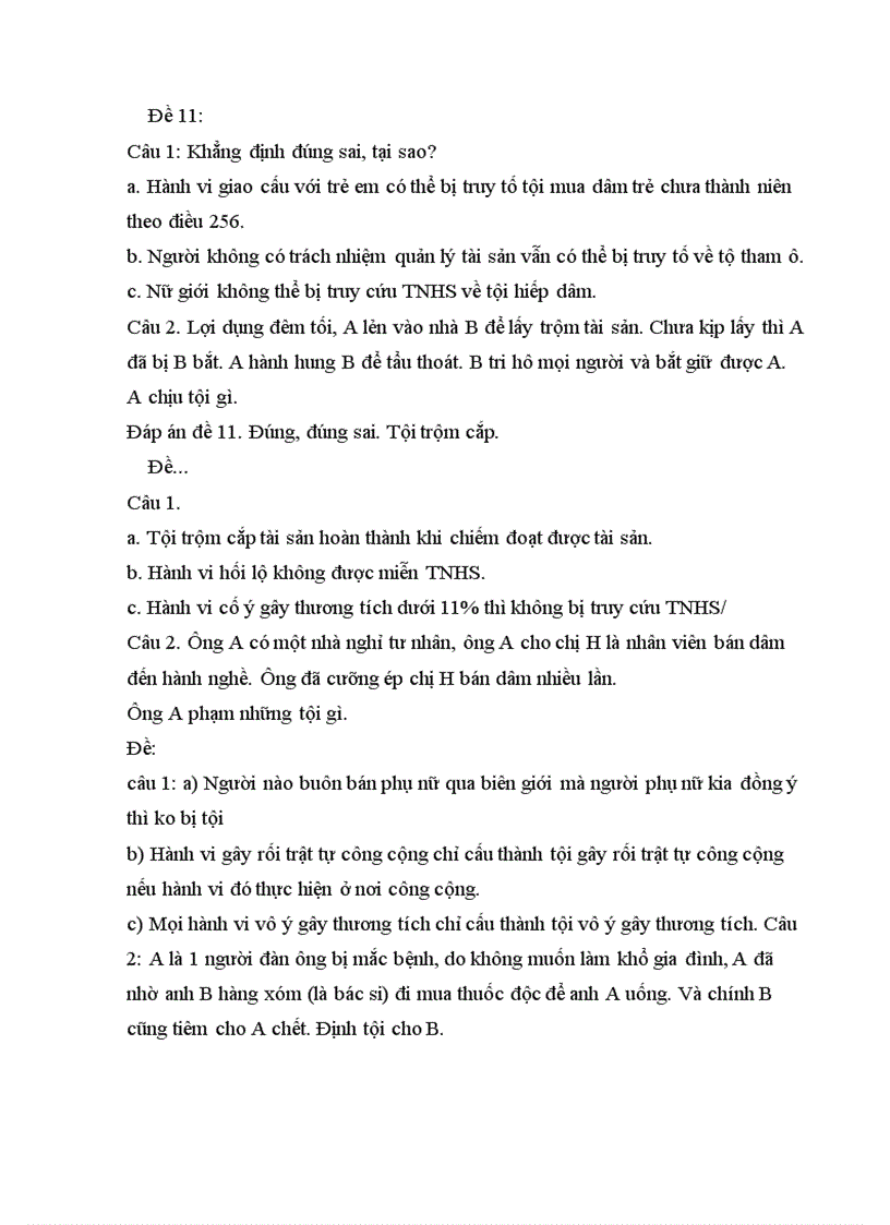 image for page Tổng hợp các đề thi luật hình sự