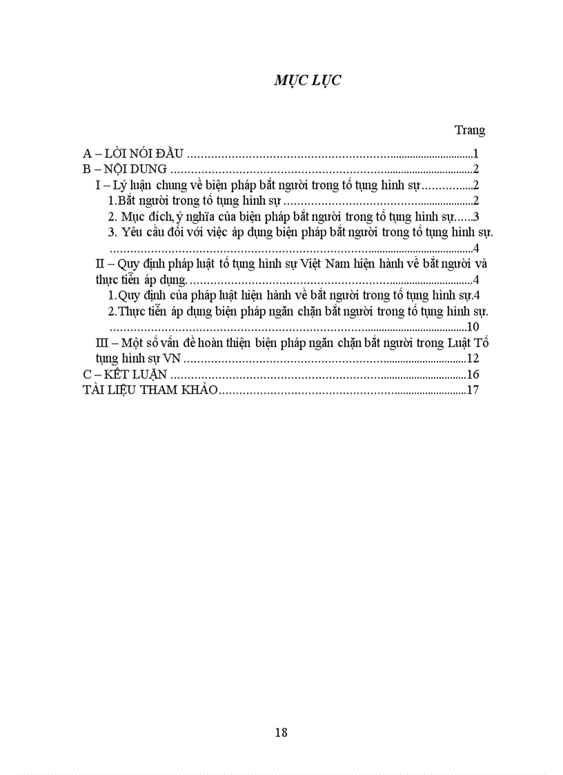 image for page Bắt người thực tiễn áp dụng và hướng hoàn thiện