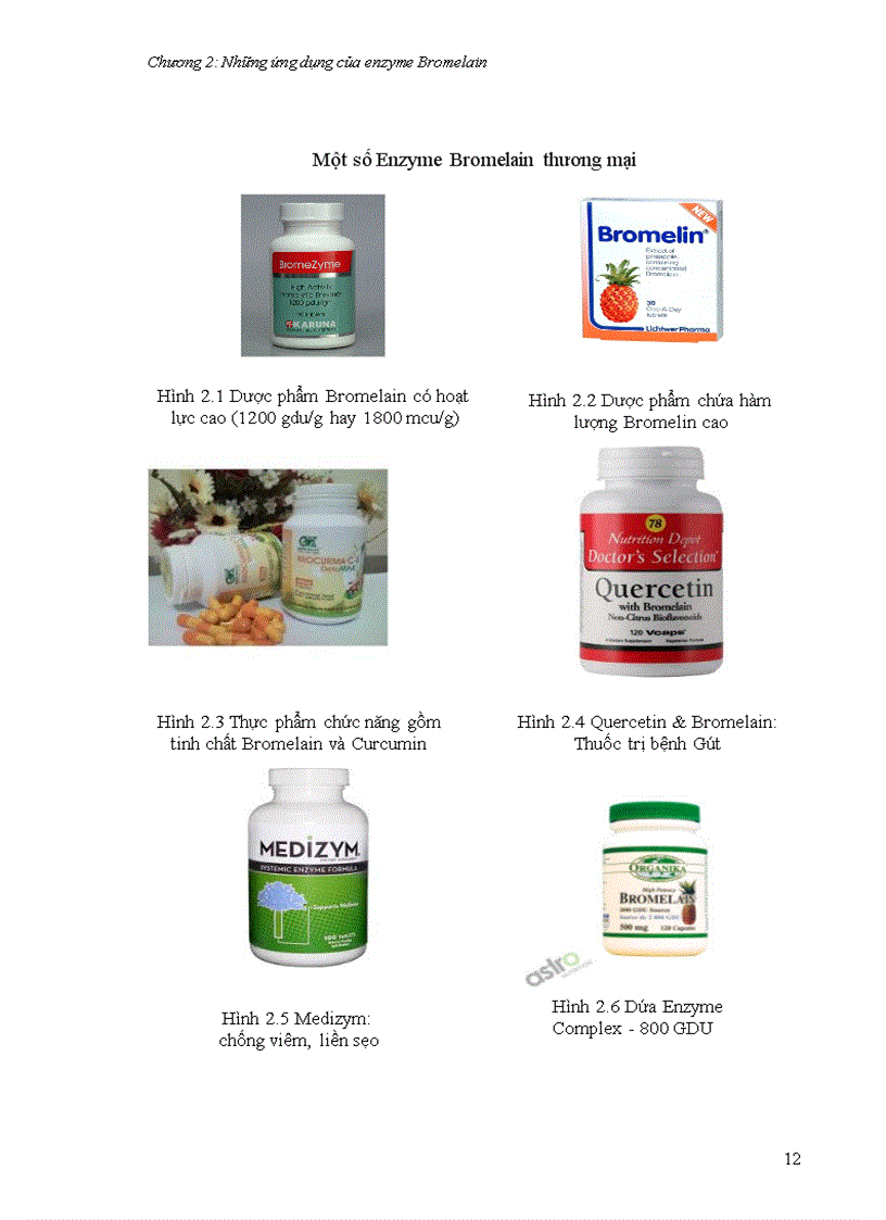 image for page Tìm hiểu về Bromelain enzyme chiết suất và ứng dụng
