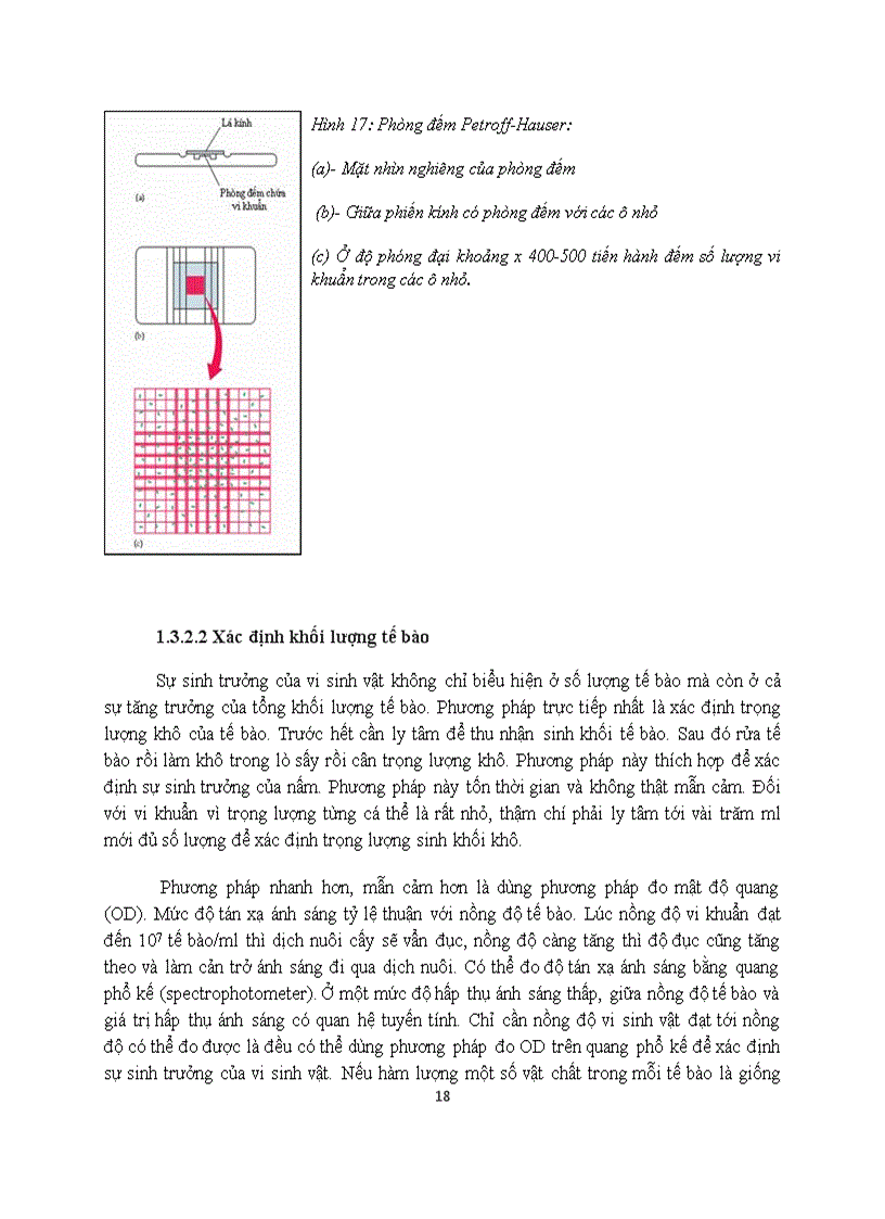 image for page Nghiên cứu chế tạo hạt nano bạc và khả năng sát khuẩn của nó