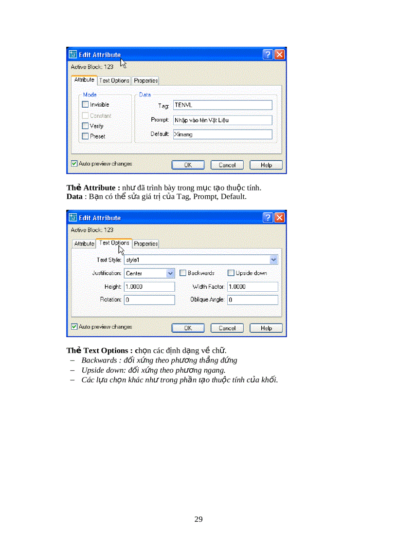 image for page Lập trình Autocad
