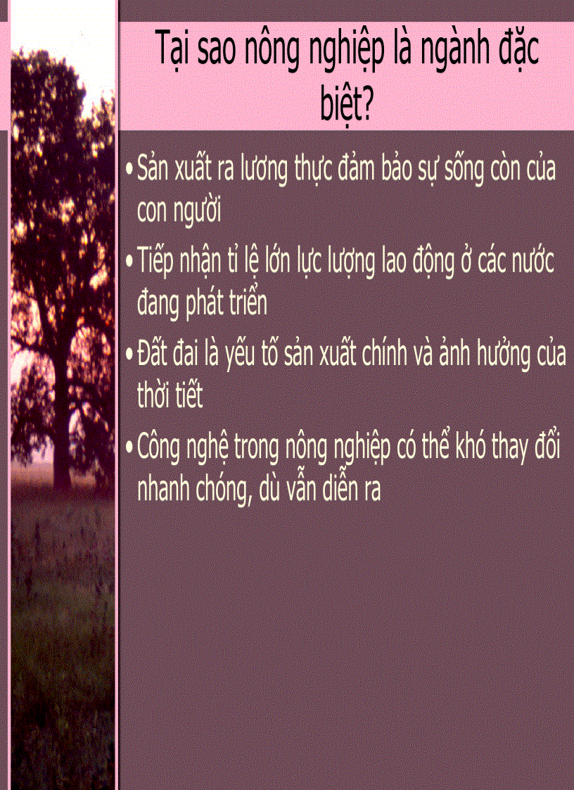 image for page Kinh Tế Phát Triển 3