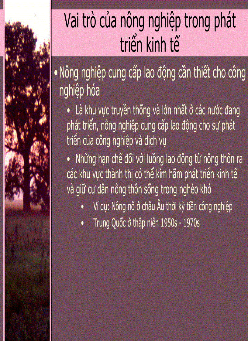 image for page Kinh Tế Phát Triển 3