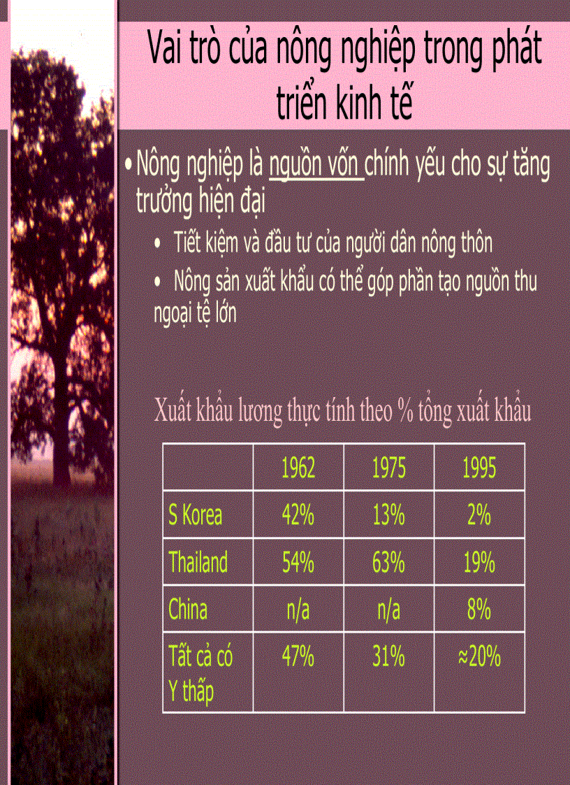 image for page Kinh Tế Phát Triển 3