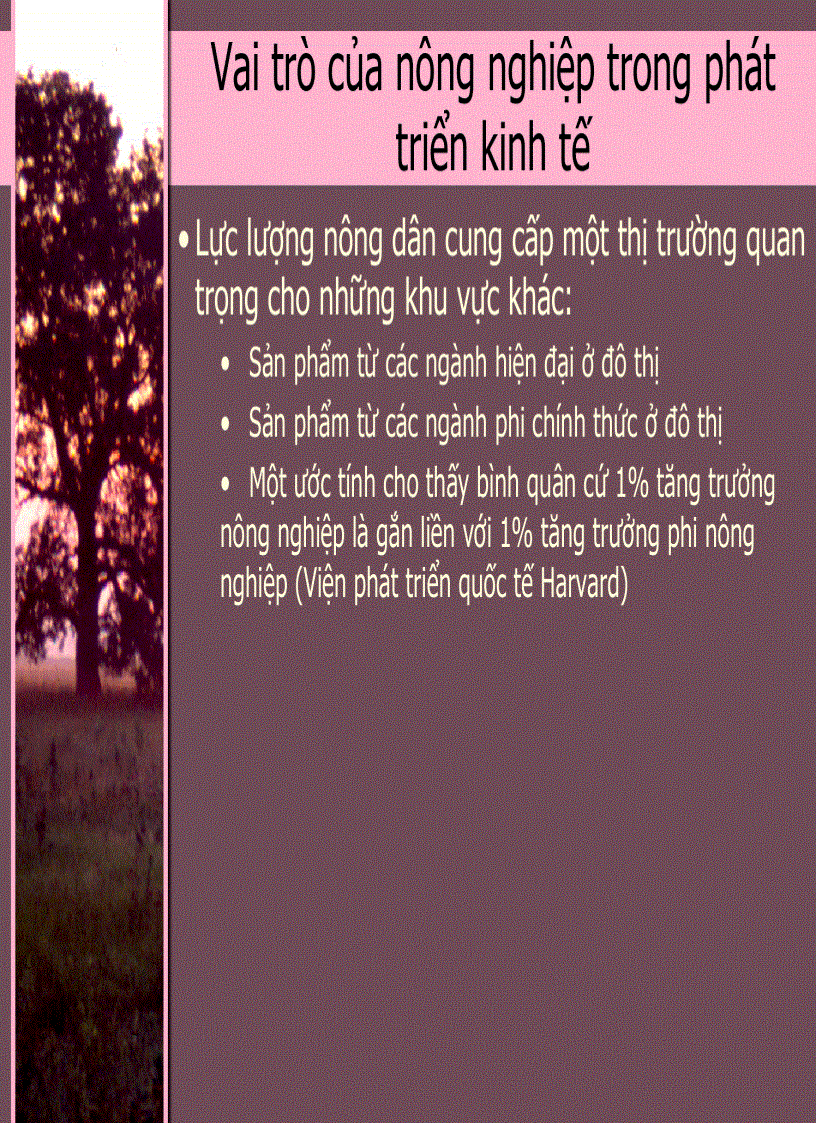 image for page Kinh Tế Phát Triển 3