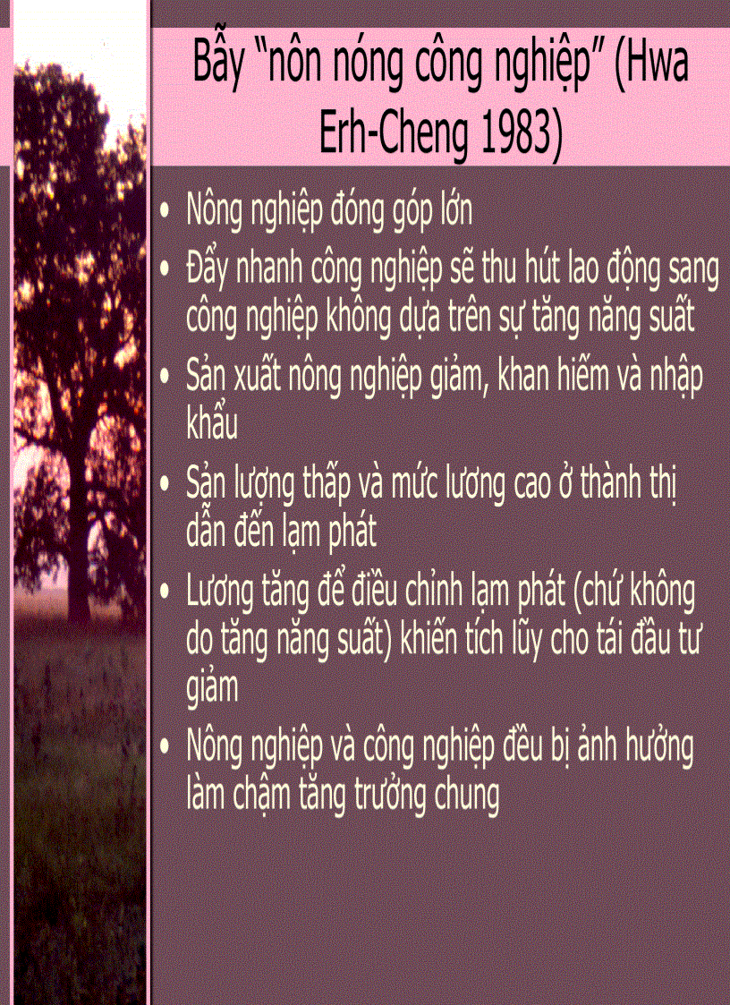 image for page Kinh Tế Phát Triển 3