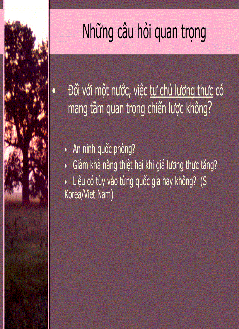 image for page Kinh Tế Phát Triển 3