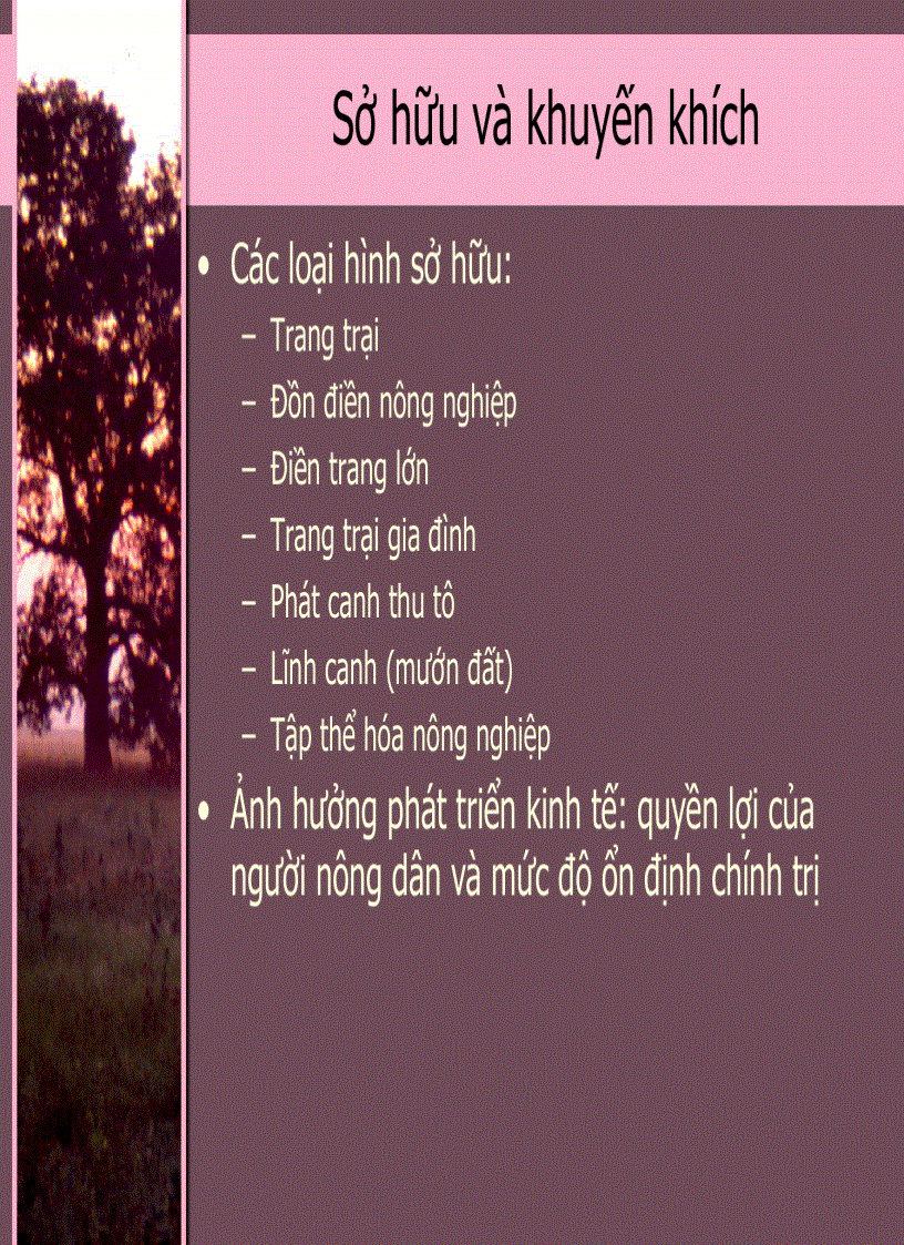 image for page Kinh Tế Phát Triển 3