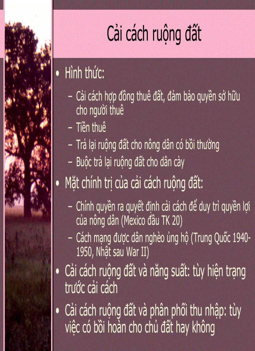 image for page Kinh Tế Phát Triển 3