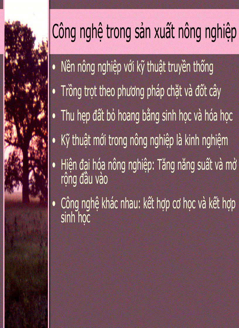 image for page Kinh Tế Phát Triển 3