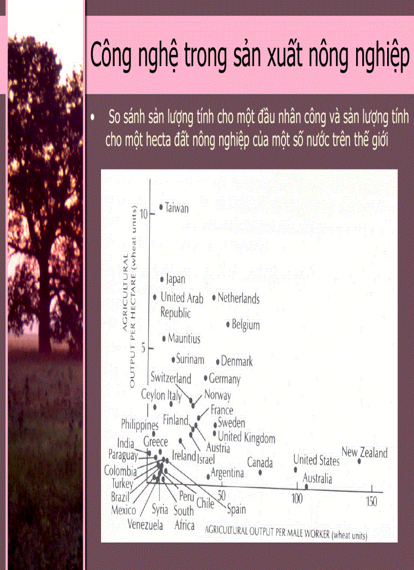 image for page Kinh Tế Phát Triển 3