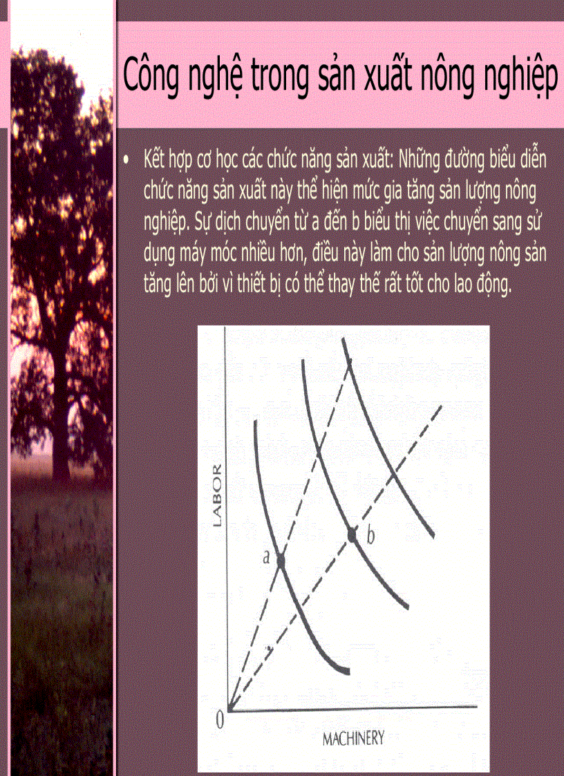 image for page Kinh Tế Phát Triển 3