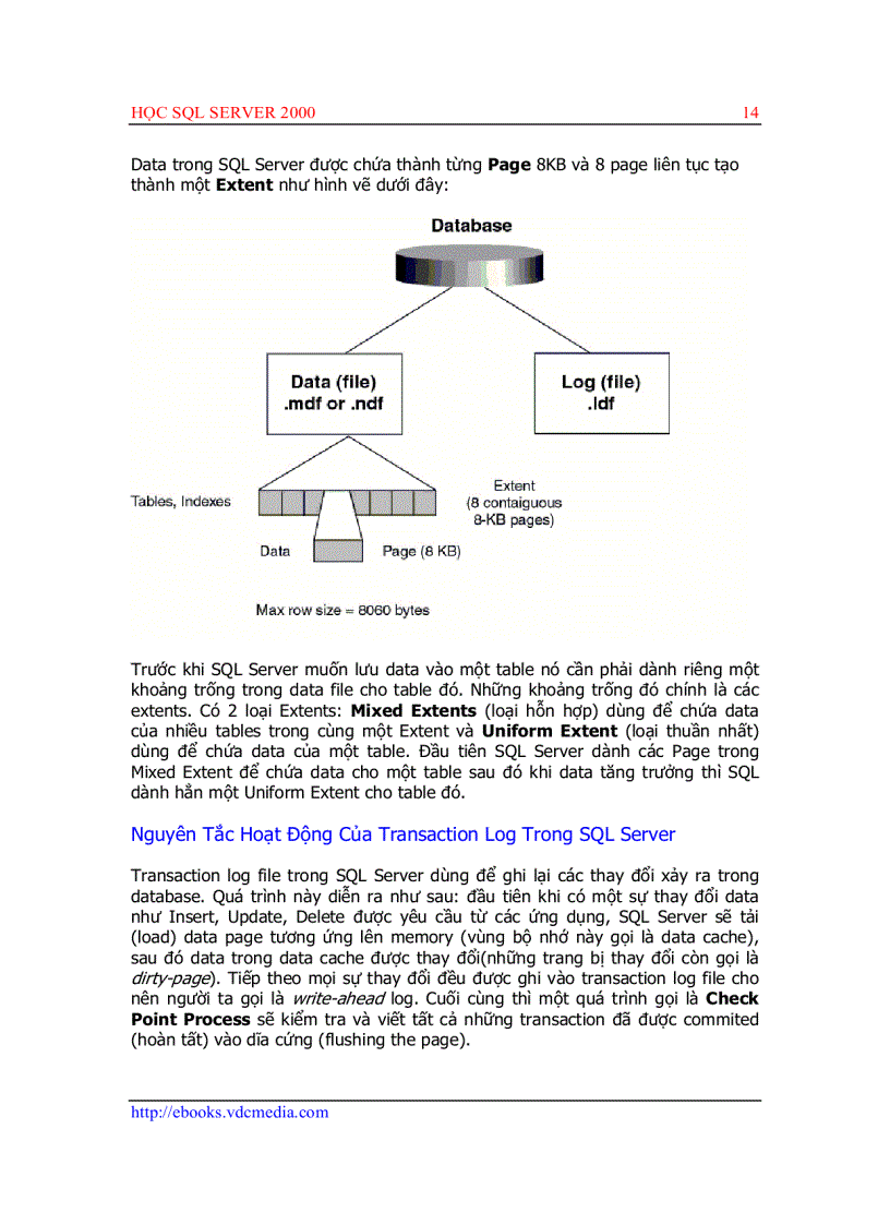 image for page Học SQL 2000