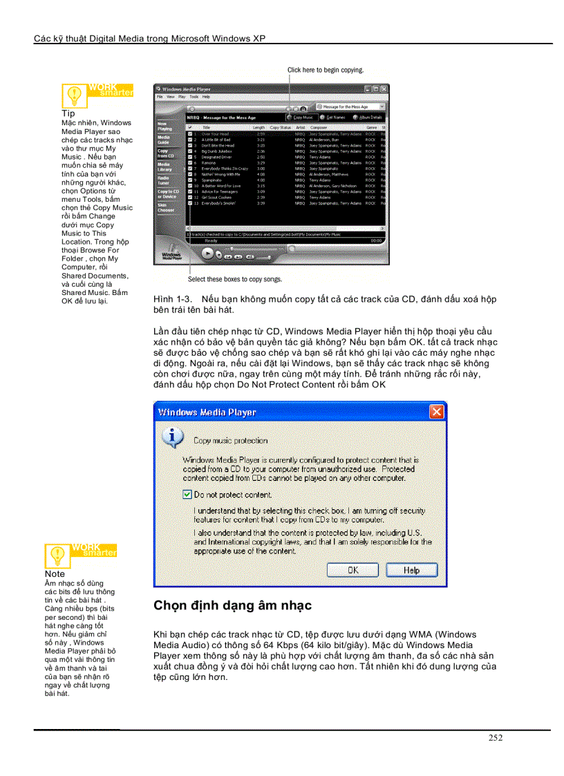 image for page Sử dụng các dạng thông tin số trong Windows XP