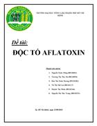 Độc tố aflatoxin