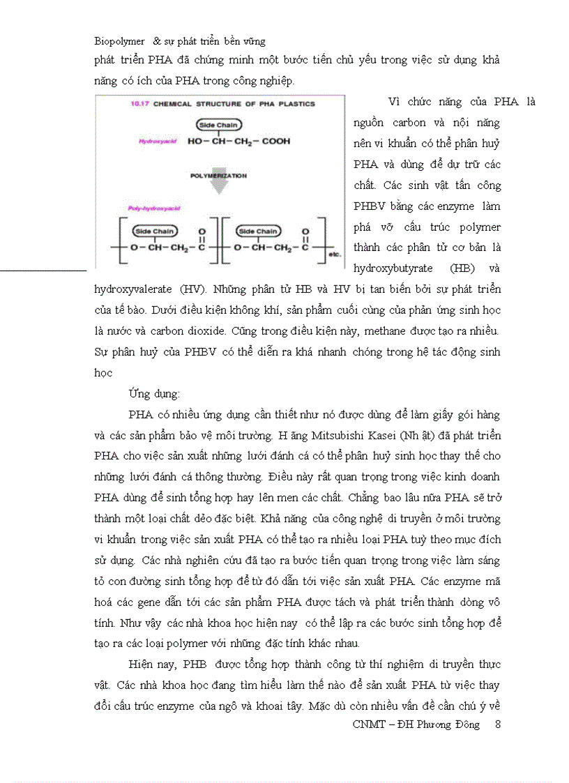 image for page Biopolymer và sự phát triển bền vững