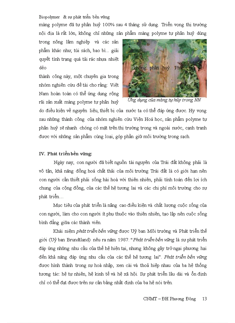 image for page Biopolymer và sự phát triển bền vững