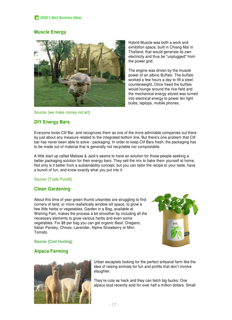 image for page 2006 Best Biz Ideas