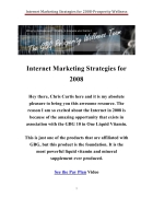 Internet Marketing Strategies 2008
