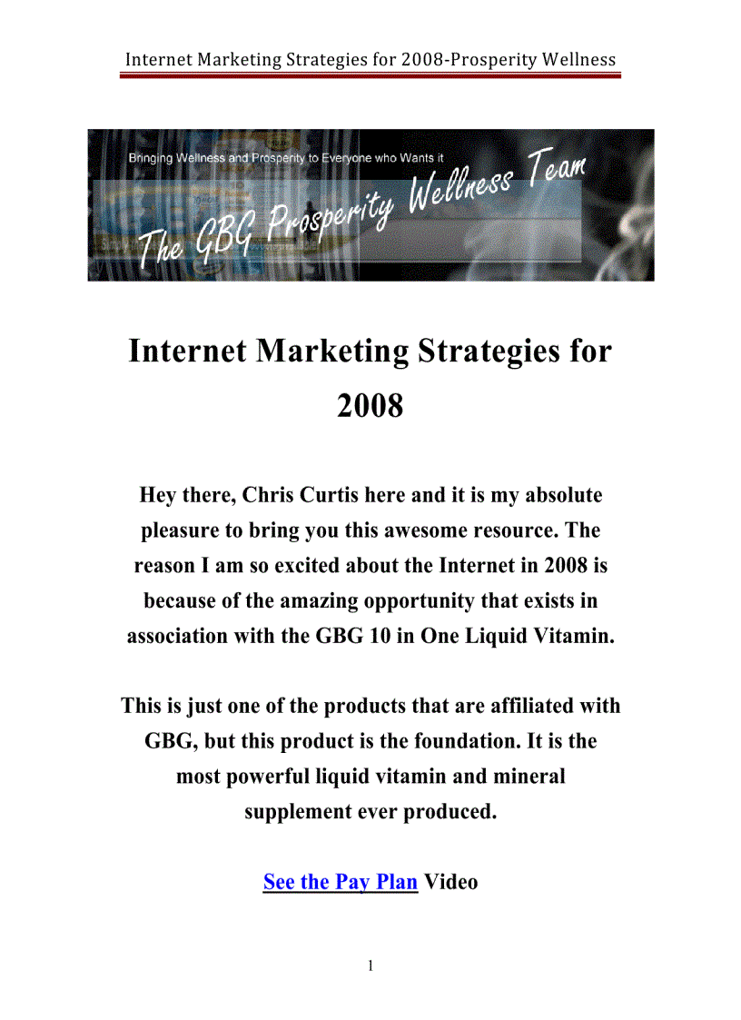 image for page Internet Marketing Strategies 2008