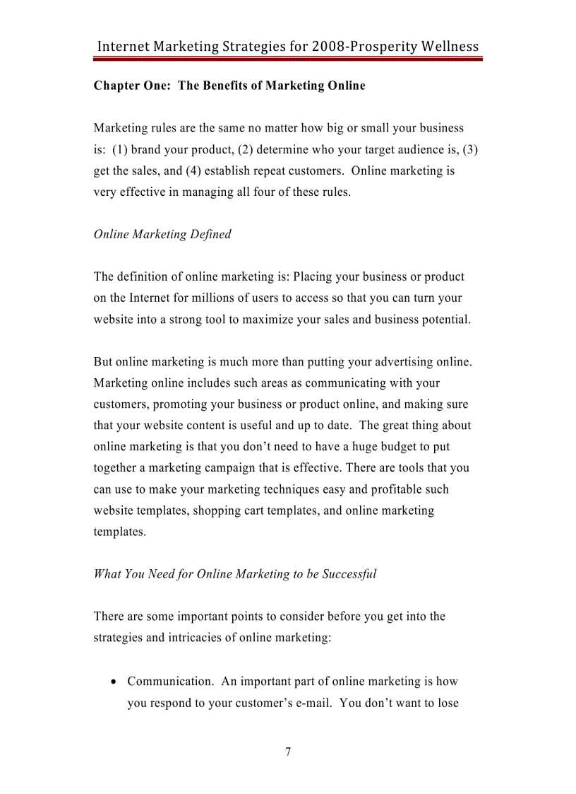 image for page Internet Marketing Strategies 2008