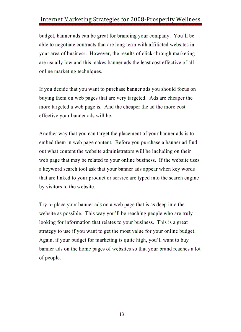 image for page Internet Marketing Strategies 2008