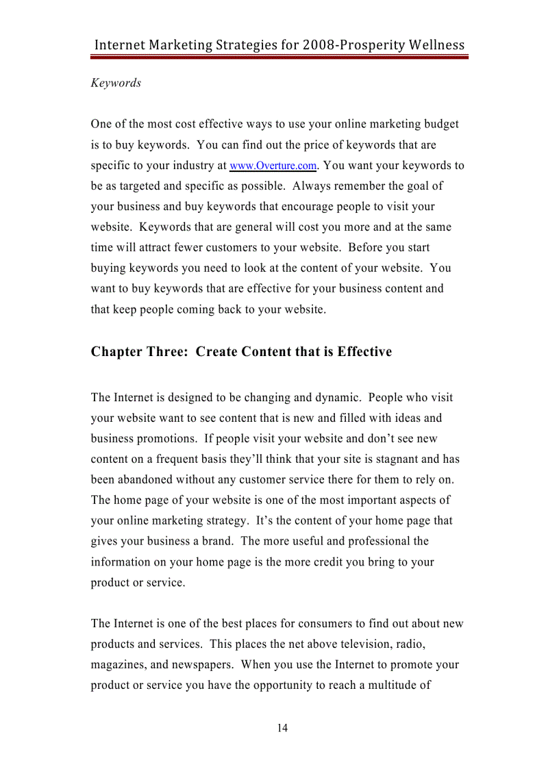 image for page Internet Marketing Strategies 2008