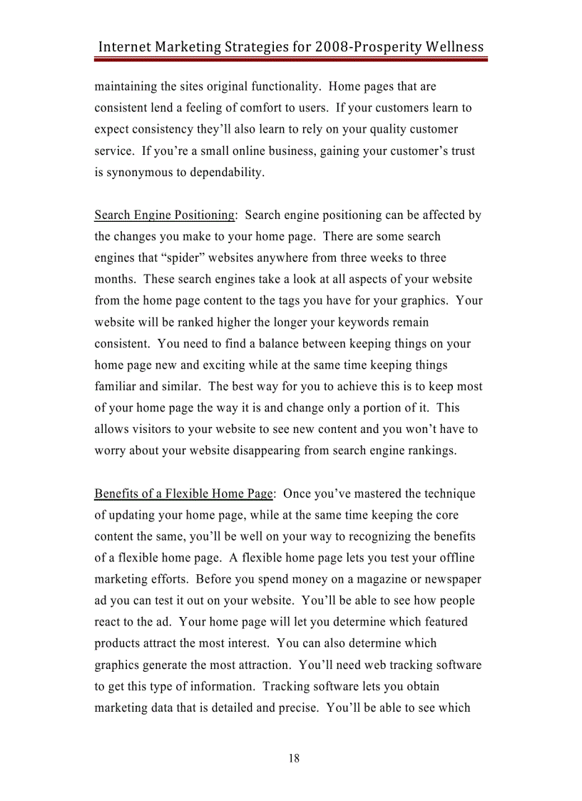 image for page Internet Marketing Strategies 2008