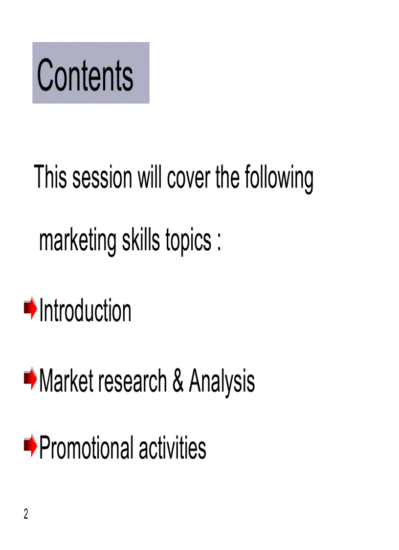 image for page Marketing Slides for Airlines