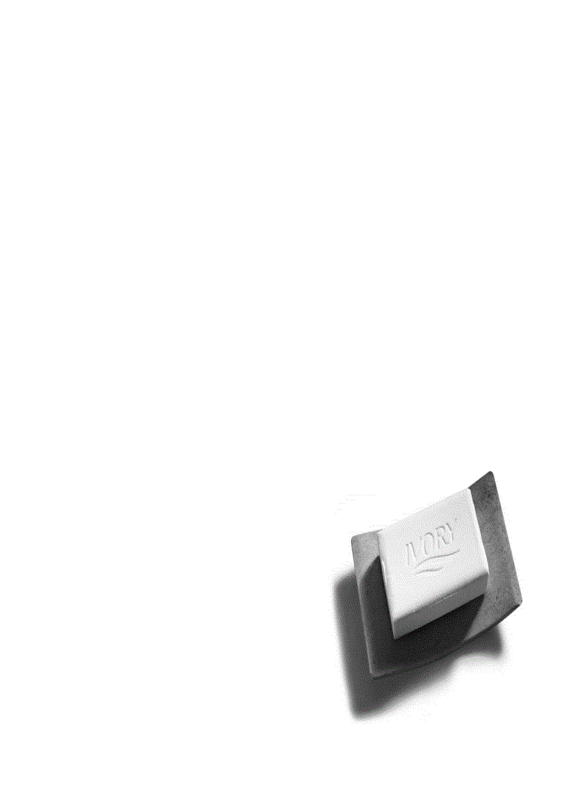 image for page The Brand Gap