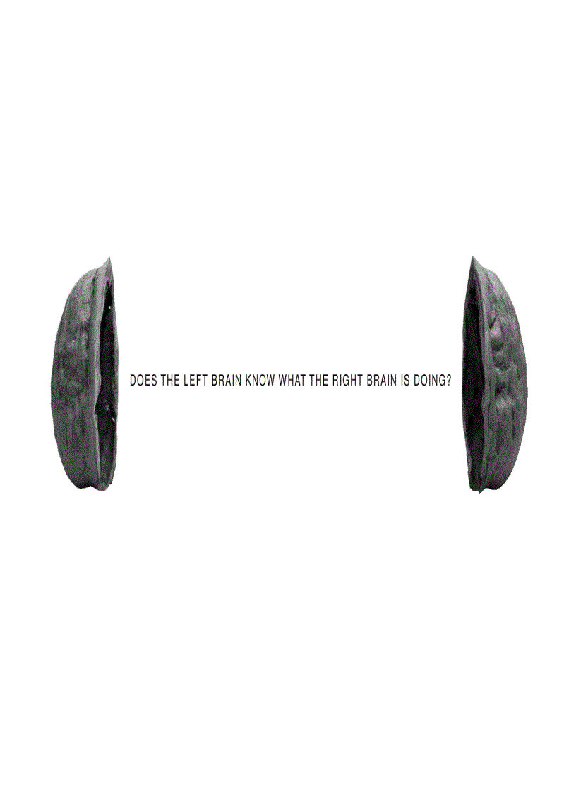 image for page The Brand Gap