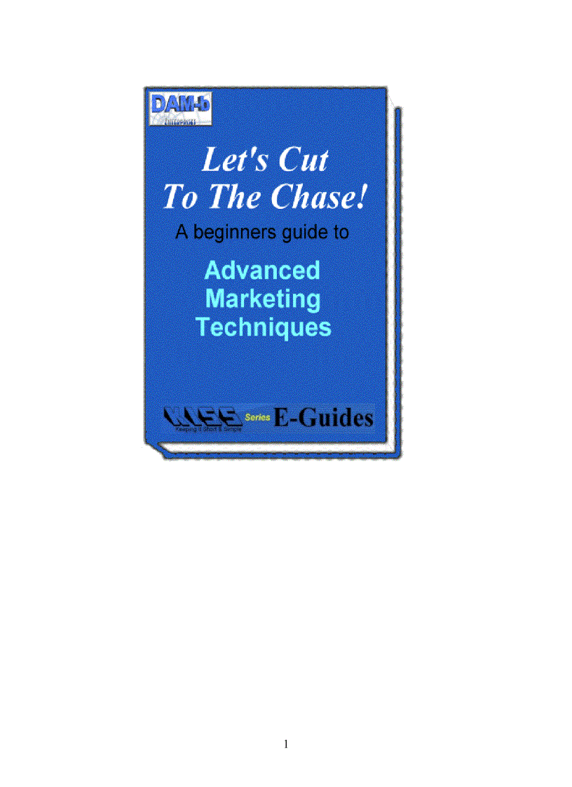 image for page A beginners guide to Advanced Marketing Techniques