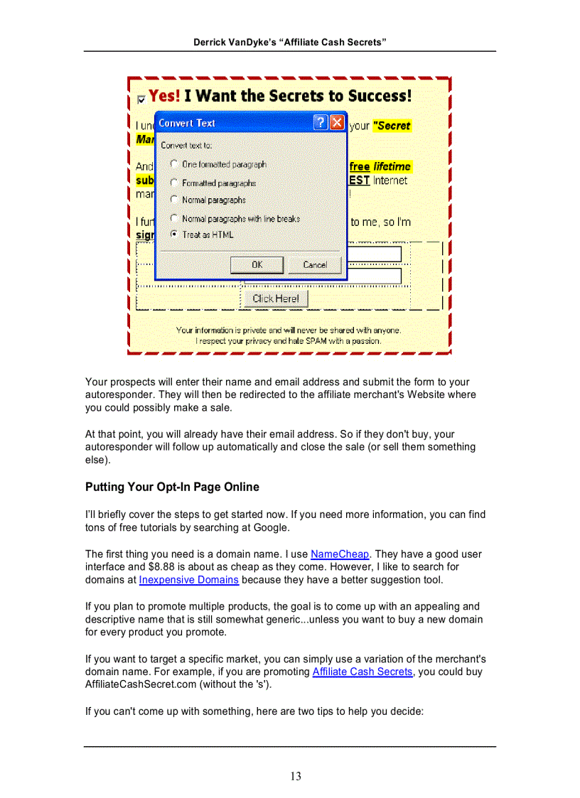 image for page Affiliate Cash Secrects 2009