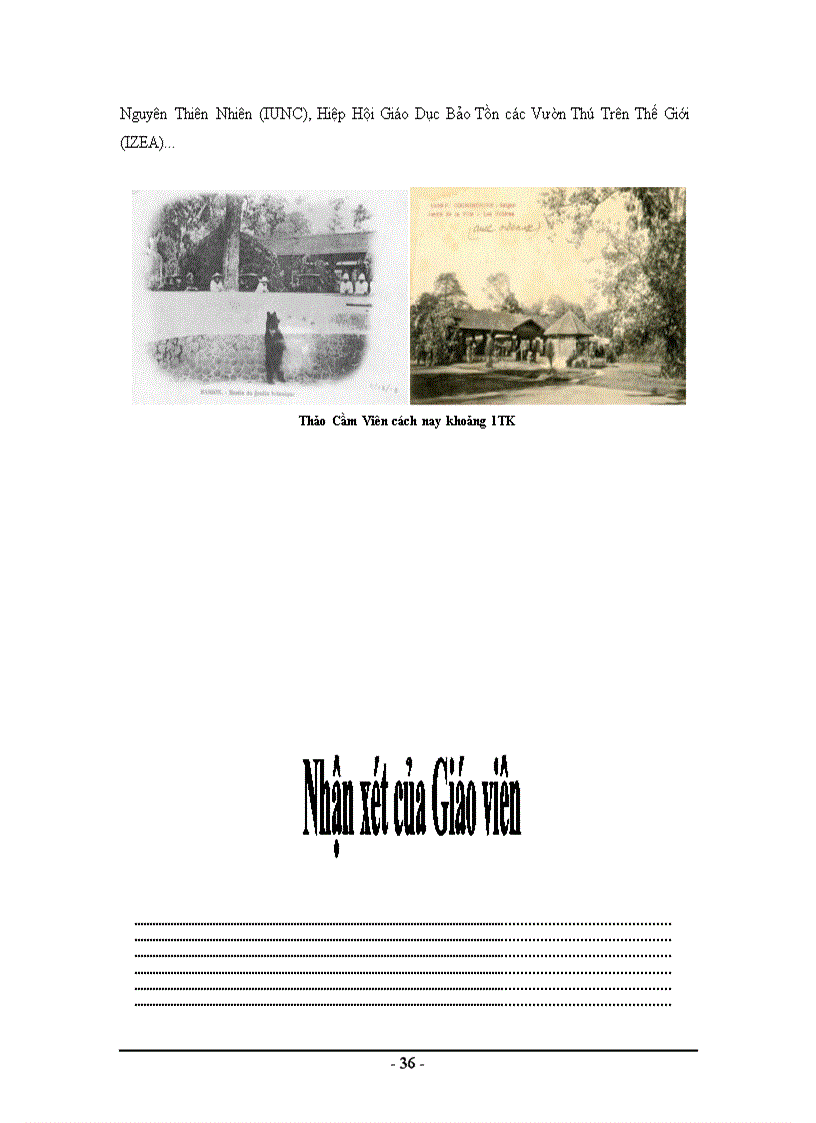 image for page Báo cáo tour du lịch tại tp hcm