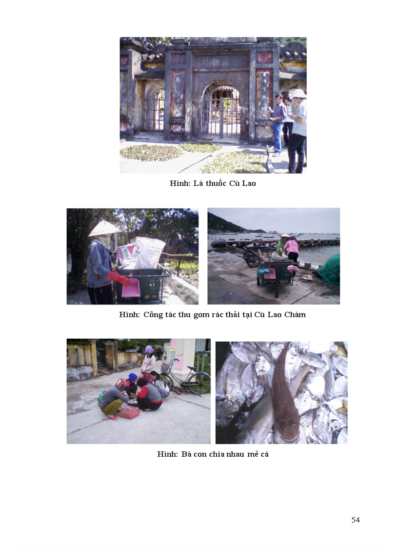 image for page Nghiên cứu tiềm năng phát triển du lịch và đề xuất giải pháp du lịch sinh thái bền vững tại xã đảo Cù Lao Chàm TP Hội An Quảng Nam