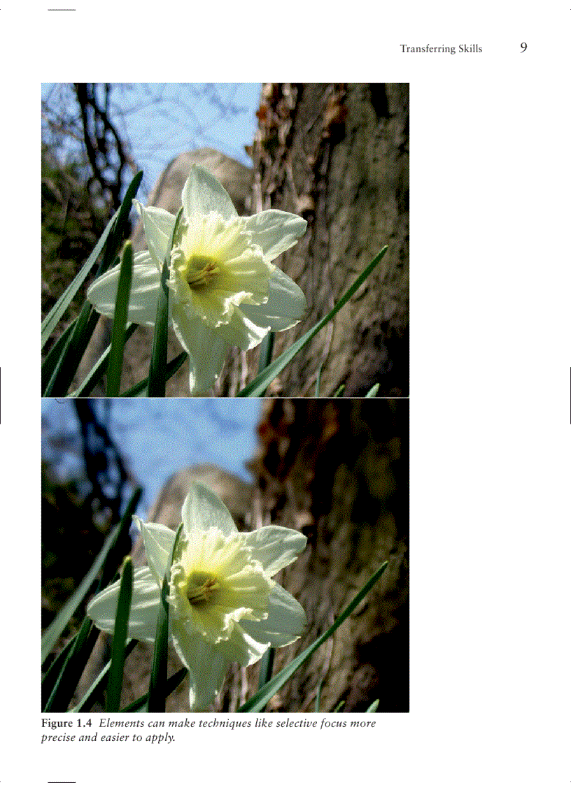 image for page Adobe photoshop elements 3 0 photographers guide