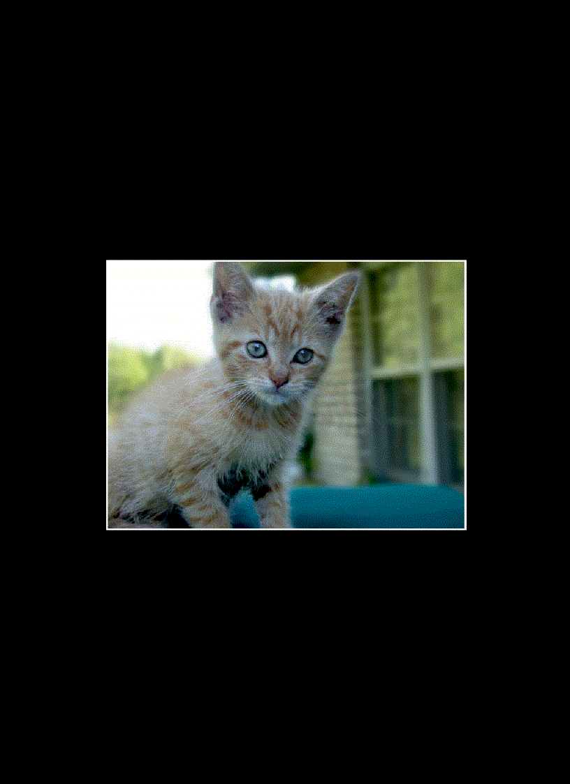 image for page Adobe photoshop elements 3 0 photographers guide