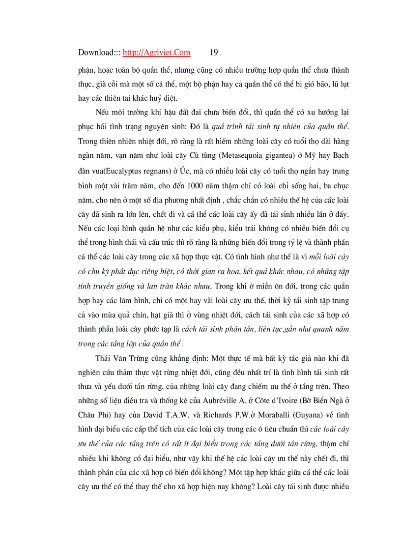 image for page Đặc điểm tái sinh dưới tán rừng trồng