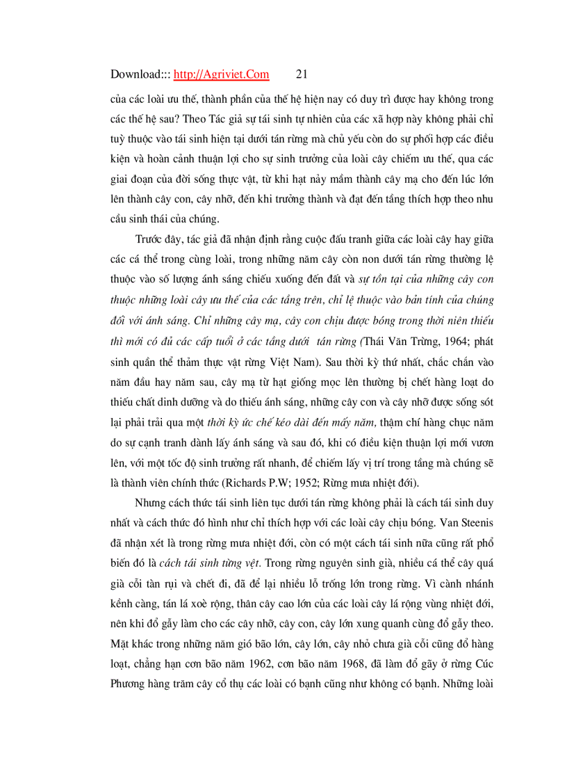 image for page Đặc điểm tái sinh dưới tán rừng trồng