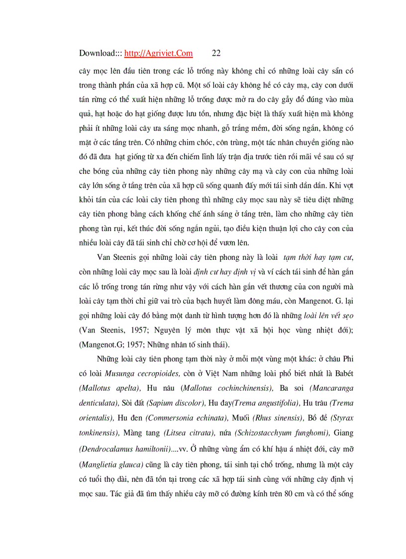 image for page Đặc điểm tái sinh dưới tán rừng trồng