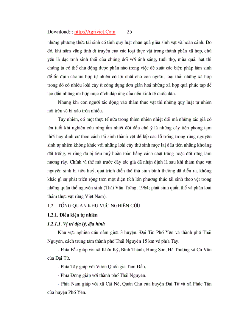 image for page Đặc điểm tái sinh dưới tán rừng trồng