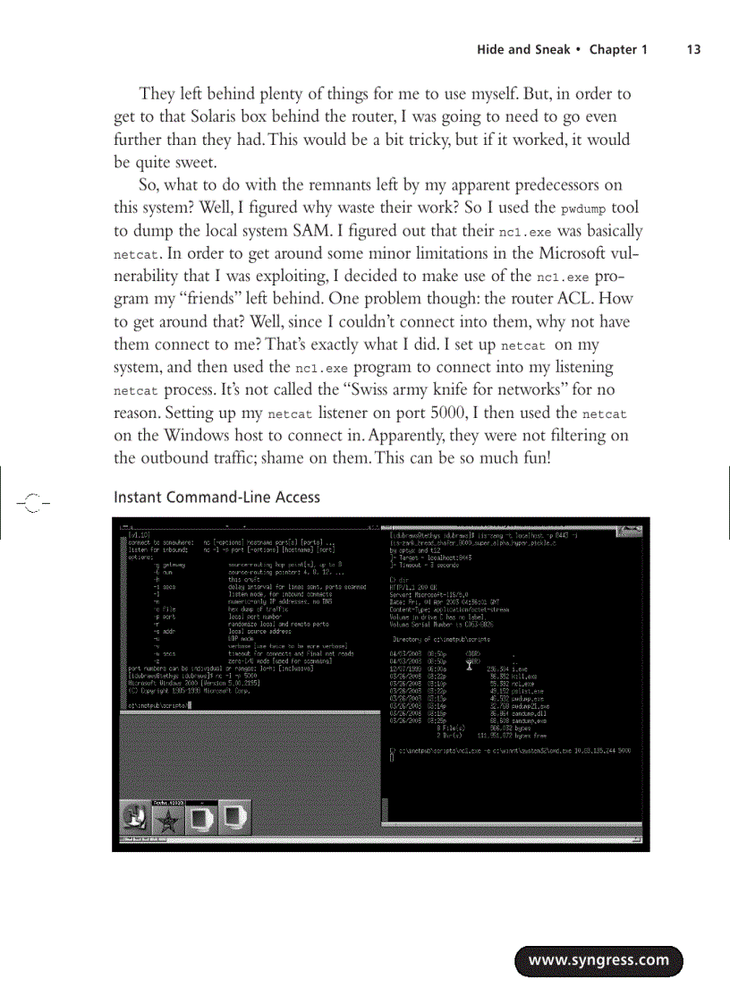 image for page Stealing the network how to own the box
