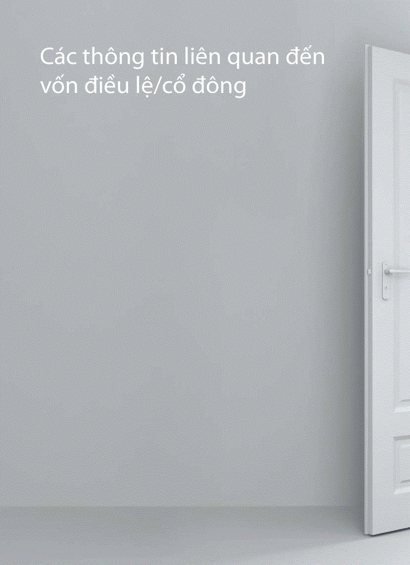 image for page Báo cáo FPT