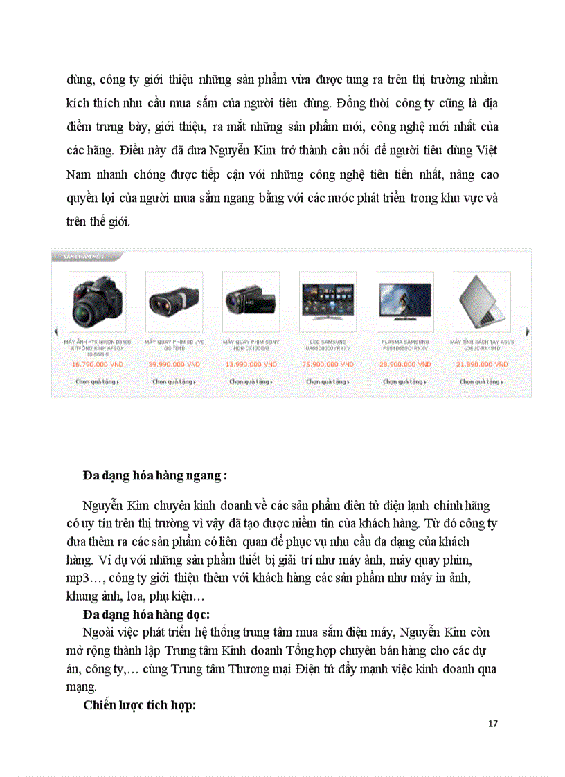 image for page Phân tích đánh giá chiến lược kinh doanh của doanh nghiệp bán lẻ Nguyên Kim