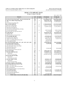 Báo cáo tài chính FPT 2006