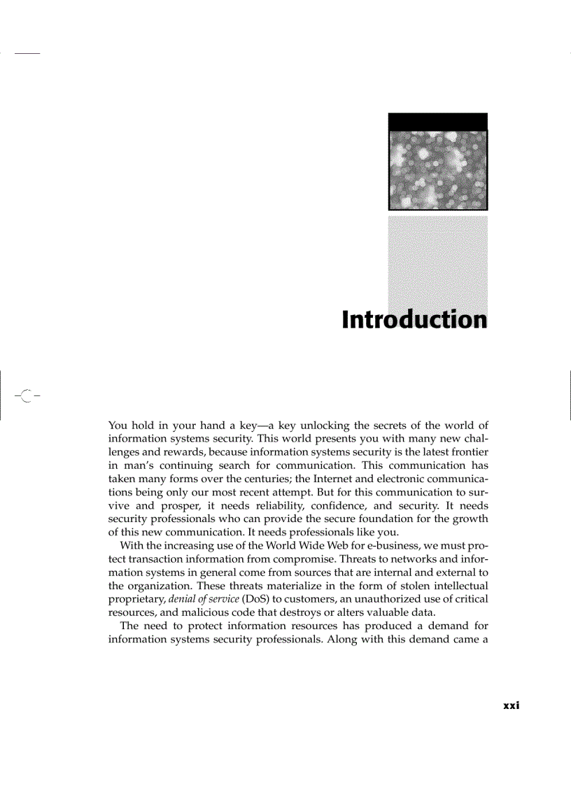 image for page The CISSP Prep Guide Gold Edition