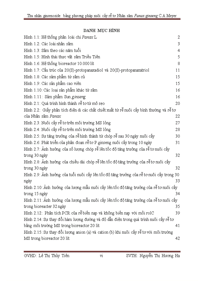 image for page Thu nhận ginsenoside bằng phương pháp nuôi cấy rễ tơ Nhân sâm Panax ginseng C A Meyer