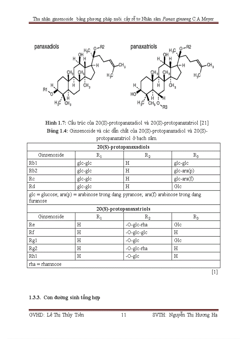 image for page Thu nhận ginsenoside bằng phương pháp nuôi cấy rễ tơ Nhân sâm Panax ginseng C A Meyer