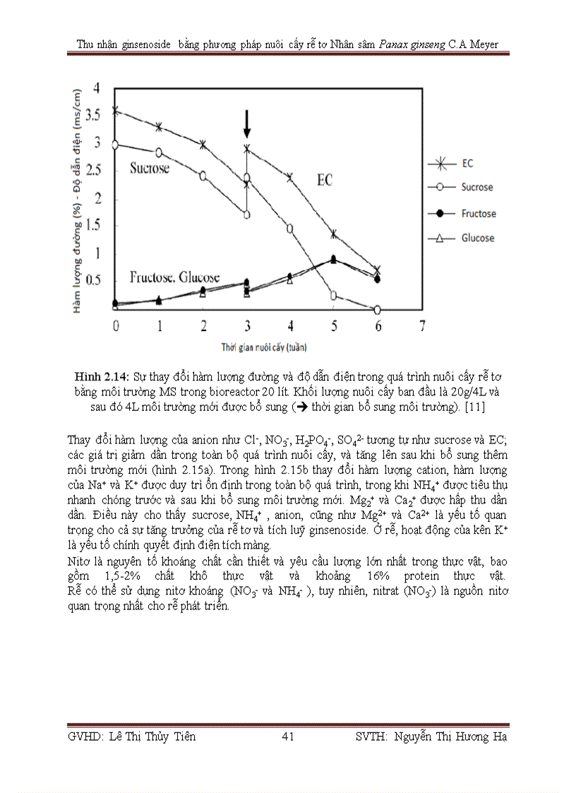 image for page Thu nhận ginsenoside bằng phương pháp nuôi cấy rễ tơ Nhân sâm Panax ginseng C A Meyer