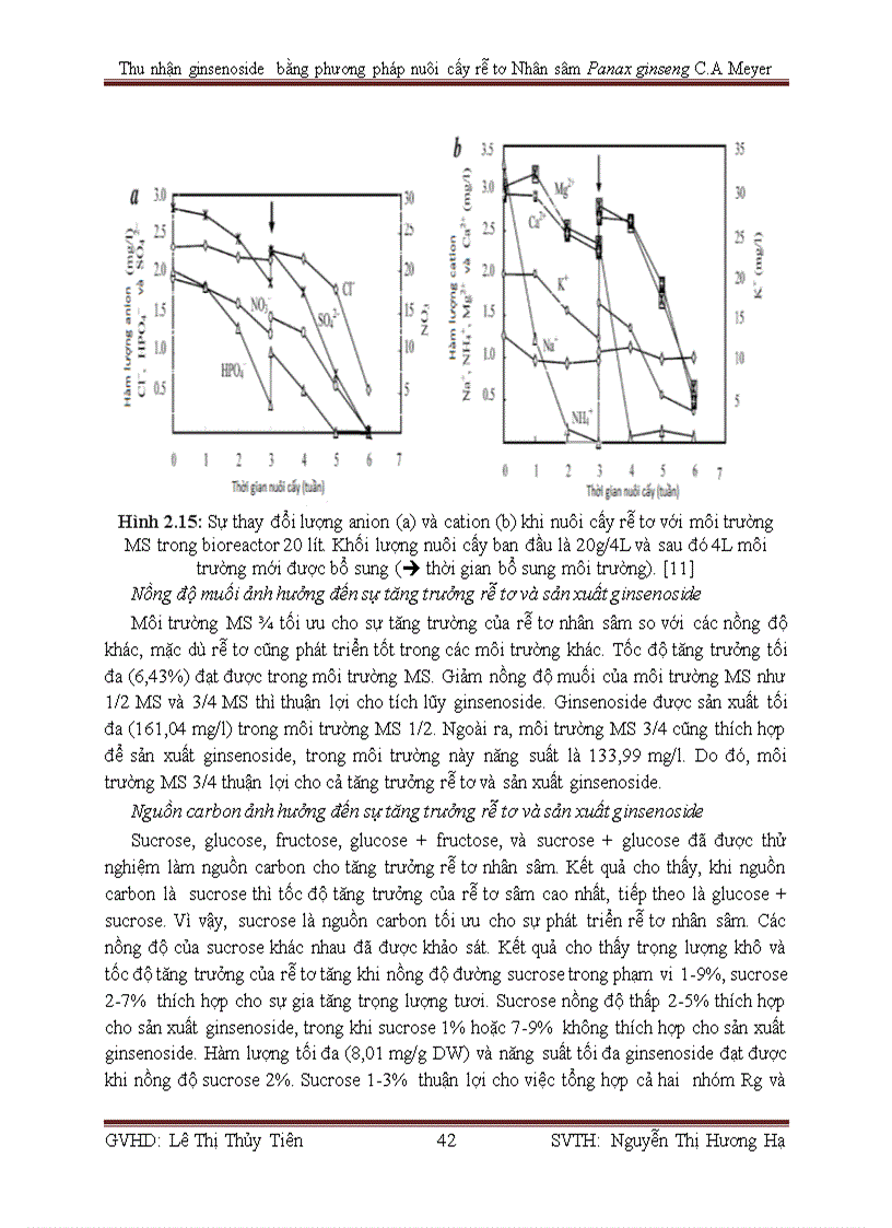 image for page Thu nhận ginsenoside bằng phương pháp nuôi cấy rễ tơ Nhân sâm Panax ginseng C A Meyer
